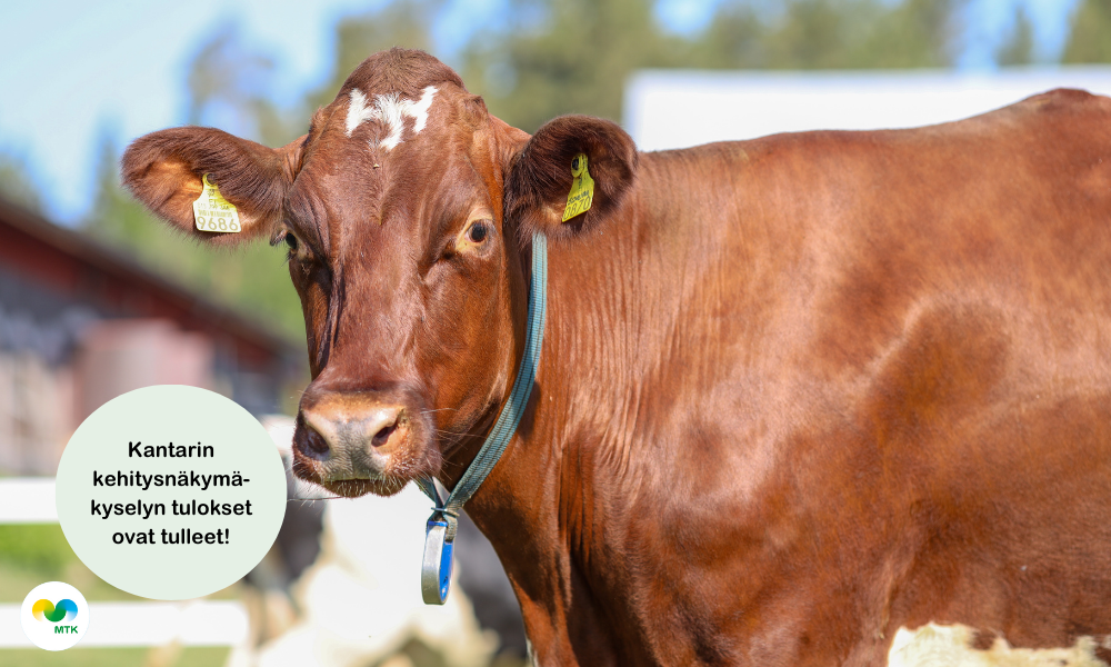 Kuvaaja: Leena Hanni